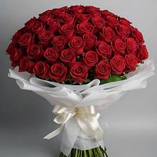 Букет 101 Красная роза Блэк Мэджик в Иславское