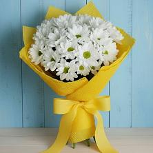 Букет цветов из:  Хризантемы в Иславское