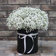Цветочная композиция из Гипсофила в шляпной коробке #REPLACE_PRED# Иславское