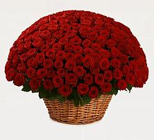 Премиум букет из: Розы в Иславское