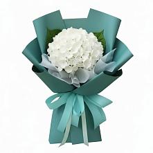 Букет цветов из:  Гортензия в Иславское
